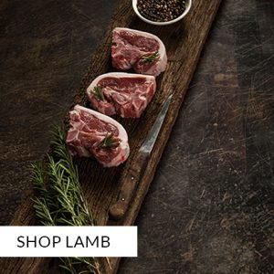 Lamb